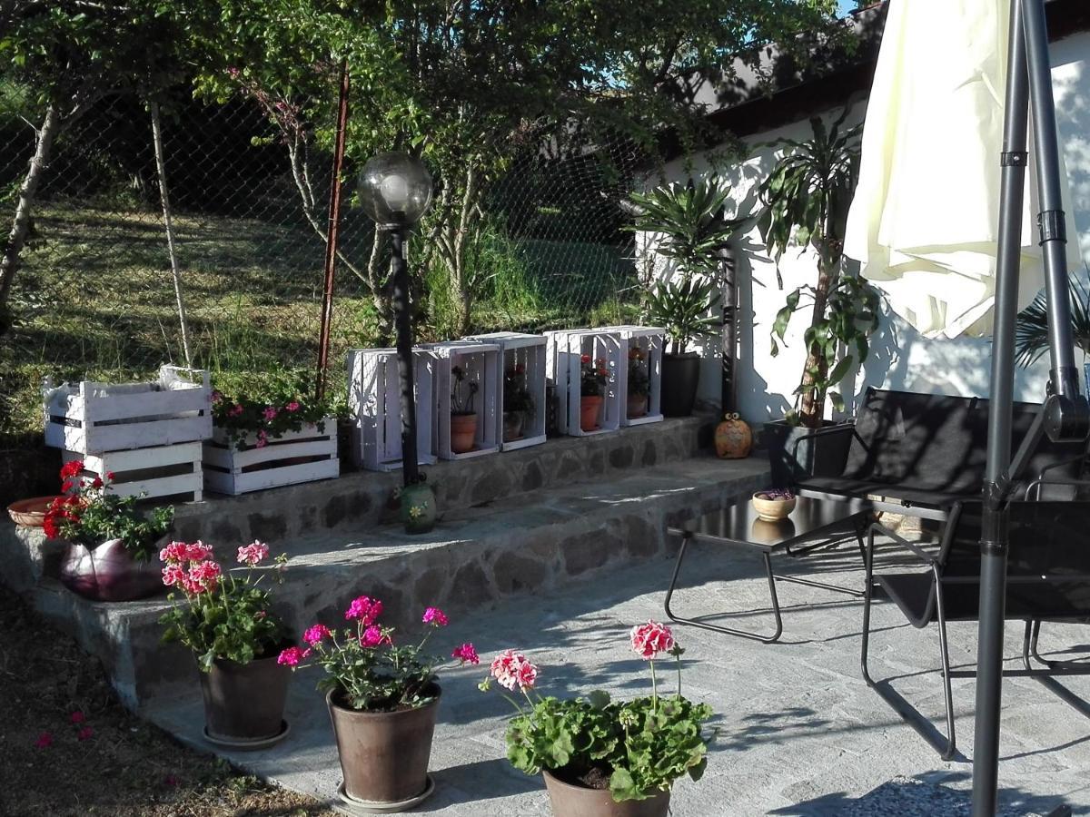 La Casa Nel Sole Apartment Алесандрия Екстериор снимка